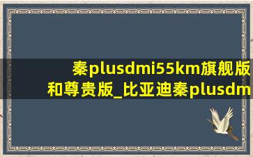 秦plusdmi55km旗舰版和尊贵版_比亚迪秦plusdmi55km分期方案