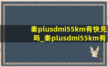 秦plusdmi55km有快充吗_秦plusdmi55km有远程启动吗