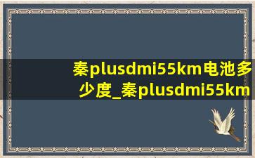 秦plusdmi55km电池多少度_秦plusdmi55km电池多少度电