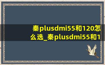 秦plusdmi55和120怎么选_秦plusdmi55和120区别