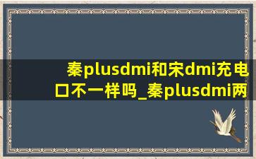 秦plusdmi和宋dmi充电口不一样吗_秦plusdmi两个充电口一样吗