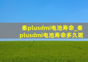 秦plusdmi电池寿命_秦plusdmi电池寿命多久呢