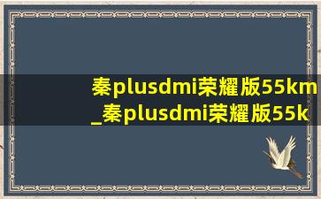 秦plusdmi荣耀版55km_秦plusdmi荣耀版55km续航实测