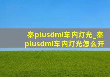 秦plusdmi车内灯光_秦plusdmi车内灯光怎么开