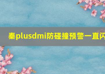 秦plusdmi防碰撞预警一直闪