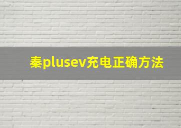 秦plusev充电正确方法