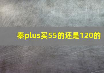 秦plus买55的还是120的