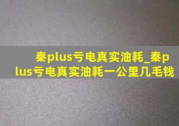 秦plus亏电真实油耗_秦plus亏电真实油耗一公里几毛钱