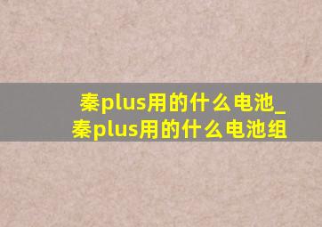 秦plus用的什么电池_秦plus用的什么电池组