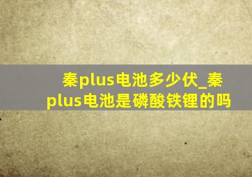 秦plus电池多少伏_秦plus电池是磷酸铁锂的吗