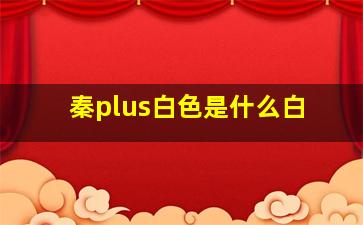 秦plus白色是什么白