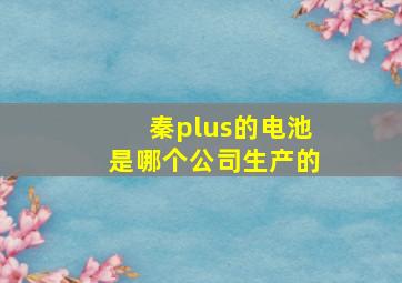 秦plus的电池是哪个公司生产的