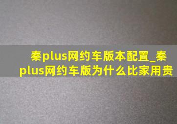 秦plus网约车版本配置_秦plus网约车版为什么比家用贵