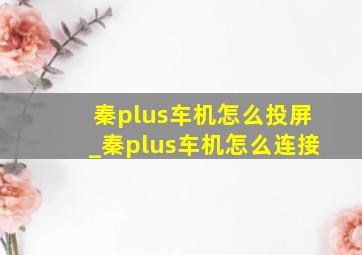 秦plus车机怎么投屏_秦plus车机怎么连接