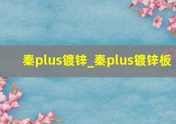 秦plus镀锌_秦plus镀锌板