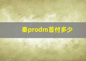 秦prodm首付多少