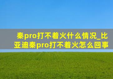 秦pro打不着火什么情况_比亚迪秦pro打不着火怎么回事