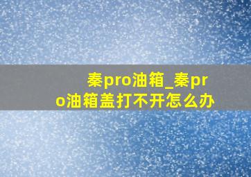 秦pro油箱_秦pro油箱盖打不开怎么办