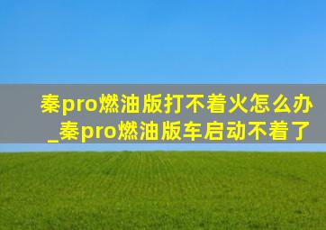 秦pro燃油版打不着火怎么办_秦pro燃油版车启动不着了