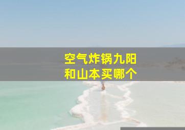 空气炸锅九阳和山本买哪个