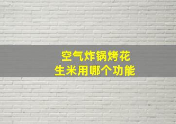 空气炸锅烤花生米用哪个功能