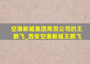 空港新城集团商贸公司的王鹏飞_西安空港新城王鹏飞