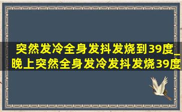 突然发冷全身发抖发烧到39度_晚上突然全身发冷发抖发烧39度