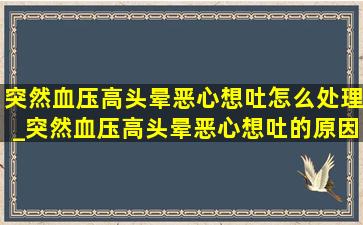 突然血压高头晕恶心想吐怎么处理_突然血压高头晕恶心想吐的原因