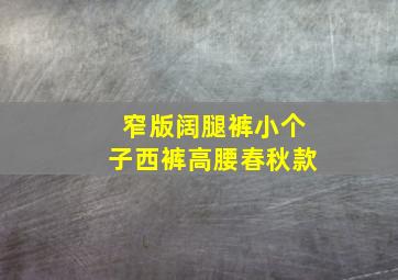 窄版阔腿裤小个子西裤高腰春秋款