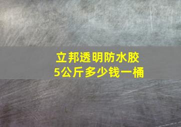 立邦透明防水胶5公斤多少钱一桶