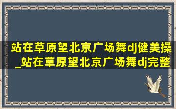 站在草原望北京广场舞dj健美操_站在草原望北京广场舞dj完整版