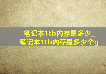 笔记本1tb内存是多少_笔记本1tb内存是多少个g