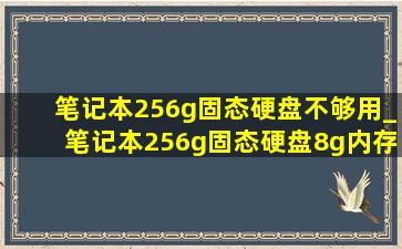 笔记本256g固态硬盘不够用_笔记本256g固态硬盘8g内存够用吗