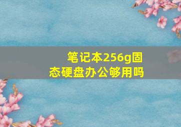 笔记本256g固态硬盘办公够用吗