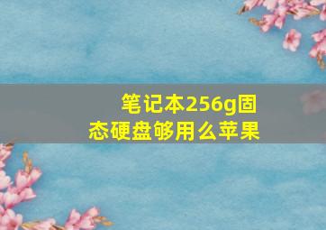 笔记本256g固态硬盘够用么苹果