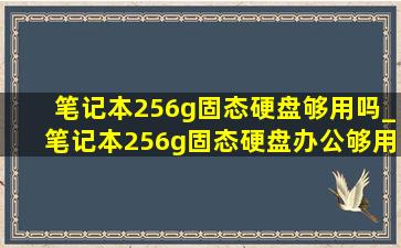 笔记本256g固态硬盘够用吗_笔记本256g固态硬盘办公够用吗