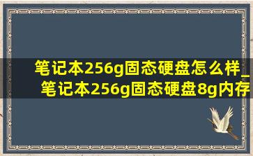 笔记本256g固态硬盘怎么样_笔记本256g固态硬盘8g内存够用吗