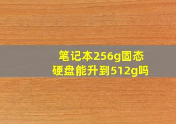 笔记本256g固态硬盘能升到512g吗