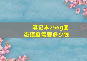 笔记本256g固态硬盘需要多少钱