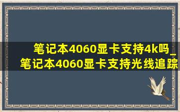 笔记本4060显卡支持4k吗_笔记本4060显卡支持光线追踪吗