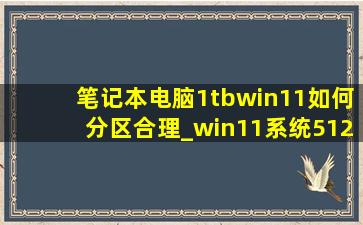笔记本电脑1tbwin11如何分区合理_win11系统512g固态硬盘分区建议