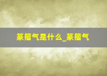 篆籀气是什么_篆籀气