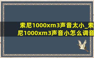 索尼1000xm3声音太小_索尼1000xm3声音小怎么调音量