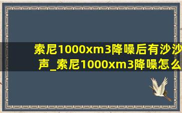 索尼1000xm3降噪后有沙沙声_索尼1000xm3降噪怎么用