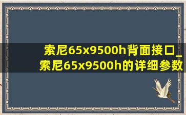 索尼65x9500h背面接口_索尼65x9500h的详细参数