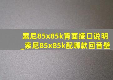 索尼85x85k背面接口说明_索尼85x85k配哪款回音壁