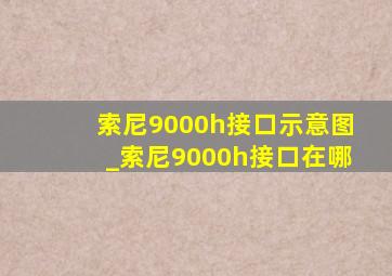 索尼9000h接口示意图_索尼9000h接口在哪