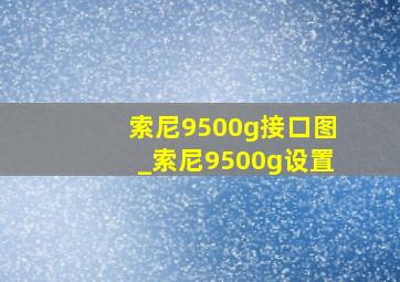 索尼9500g接口图_索尼9500g设置