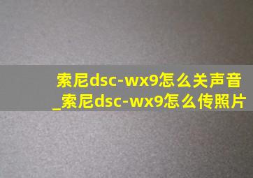 索尼dsc-wx9怎么关声音_索尼dsc-wx9怎么传照片