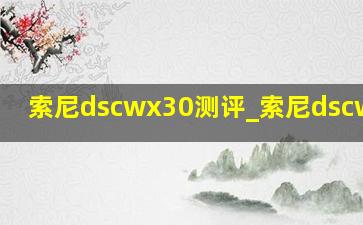 索尼dscwx30测评_索尼dscwx300